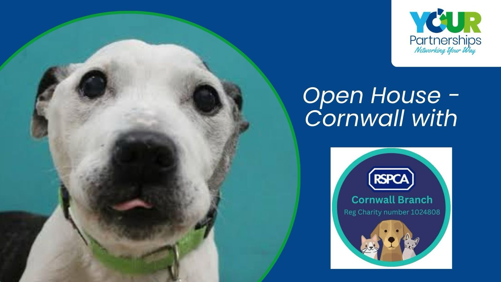 Open House Cornwall